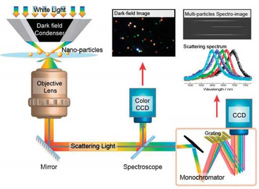 小尺度結構研究必備——暗場散射光譜